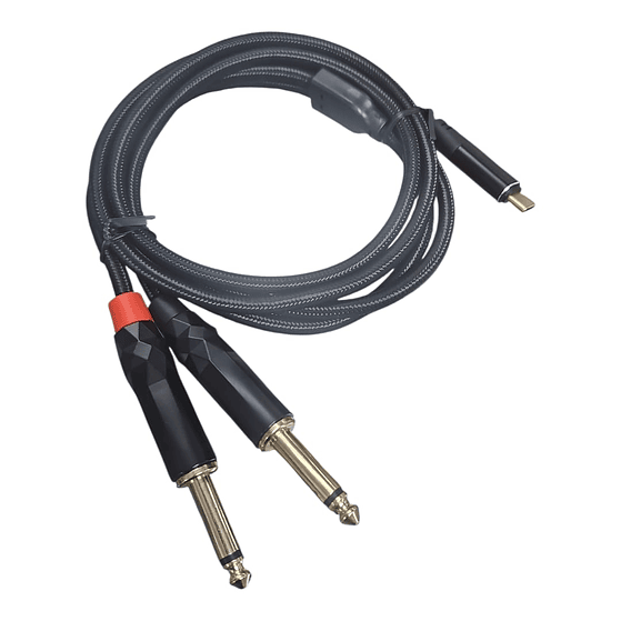 Cable De Audio Plug Jack A Tipo C Novatronic Flp-cg/m6.5 6