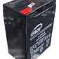 Bateria 6 V 4 Ah /20hr Recargable Mx - Miniatura 1