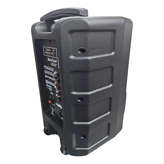 Parlante Activo Portatil 10 Pulgadas Baretone 100 W Max10h 3