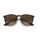 Ray Ban 4171 Erika 2