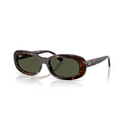 Ray Ban 2221  1