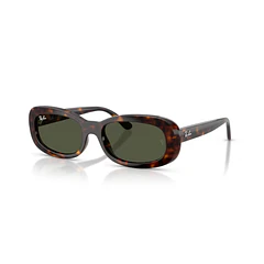 Ray Ban 2221 