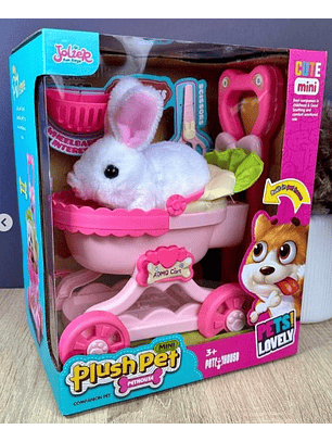 CONEJO CON COCHE  MUSICAL CAMINA Y ACCESORIOS