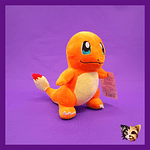 Peluche Pokemon 25cm