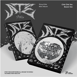 Stray Kids 9th Mini Album - ATE 