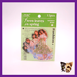 Sticker chicas vestuario 15pcs