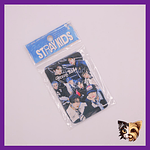 Bolsa de Lomocards StrayKids (10 fotos)