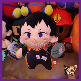 Peluche Haikkyuu 20cm