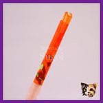 Lápiz Pokemon 