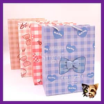 Bolsa de regalo diseño Lazo