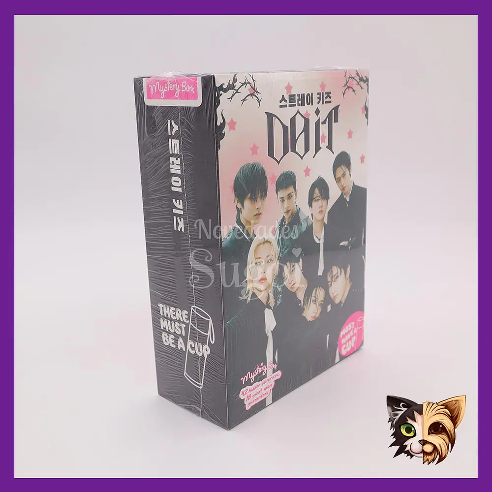 Mistery box Stray Kids 