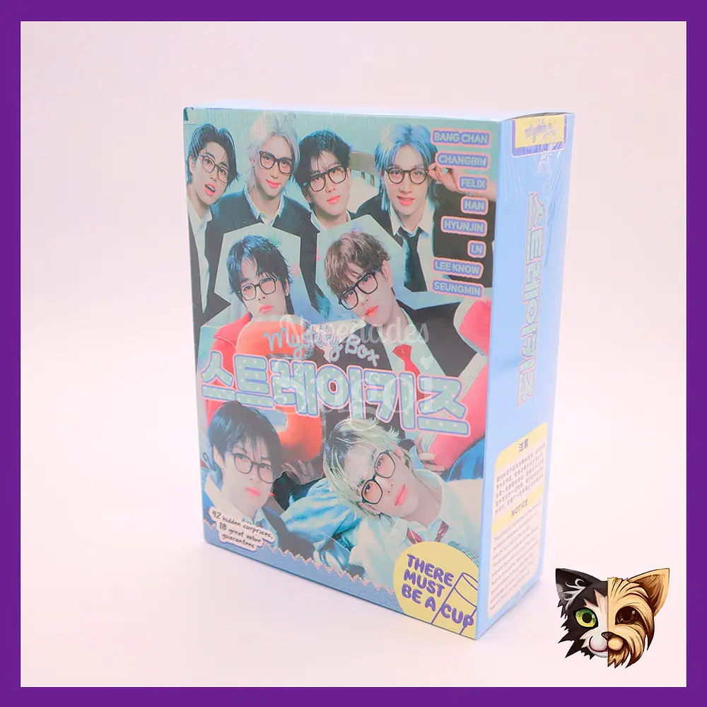 Mistery box Stray Kids new