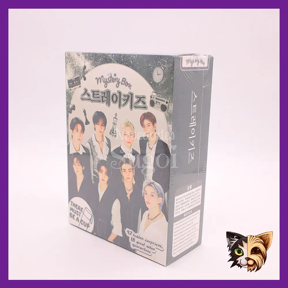 Mistery box Stray Kids new