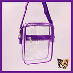 Bolso Transparente para concierto