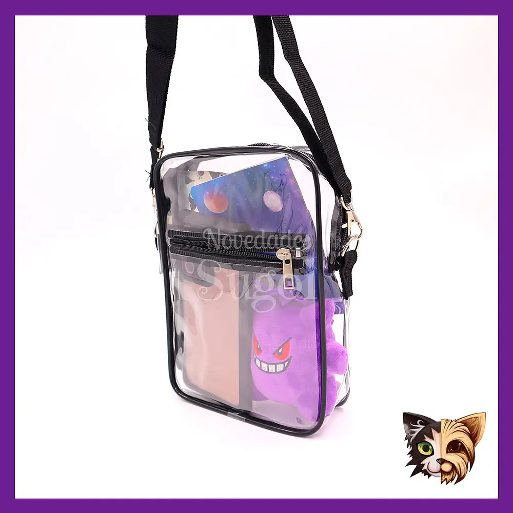 Bolso Transparente para concierto