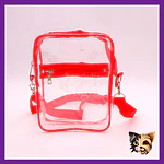 Bolso Transparente para concierto