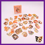 Caja Sticker gatitos