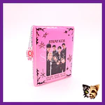 Binder broche K-pop