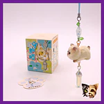 Gato crystal sorpresa