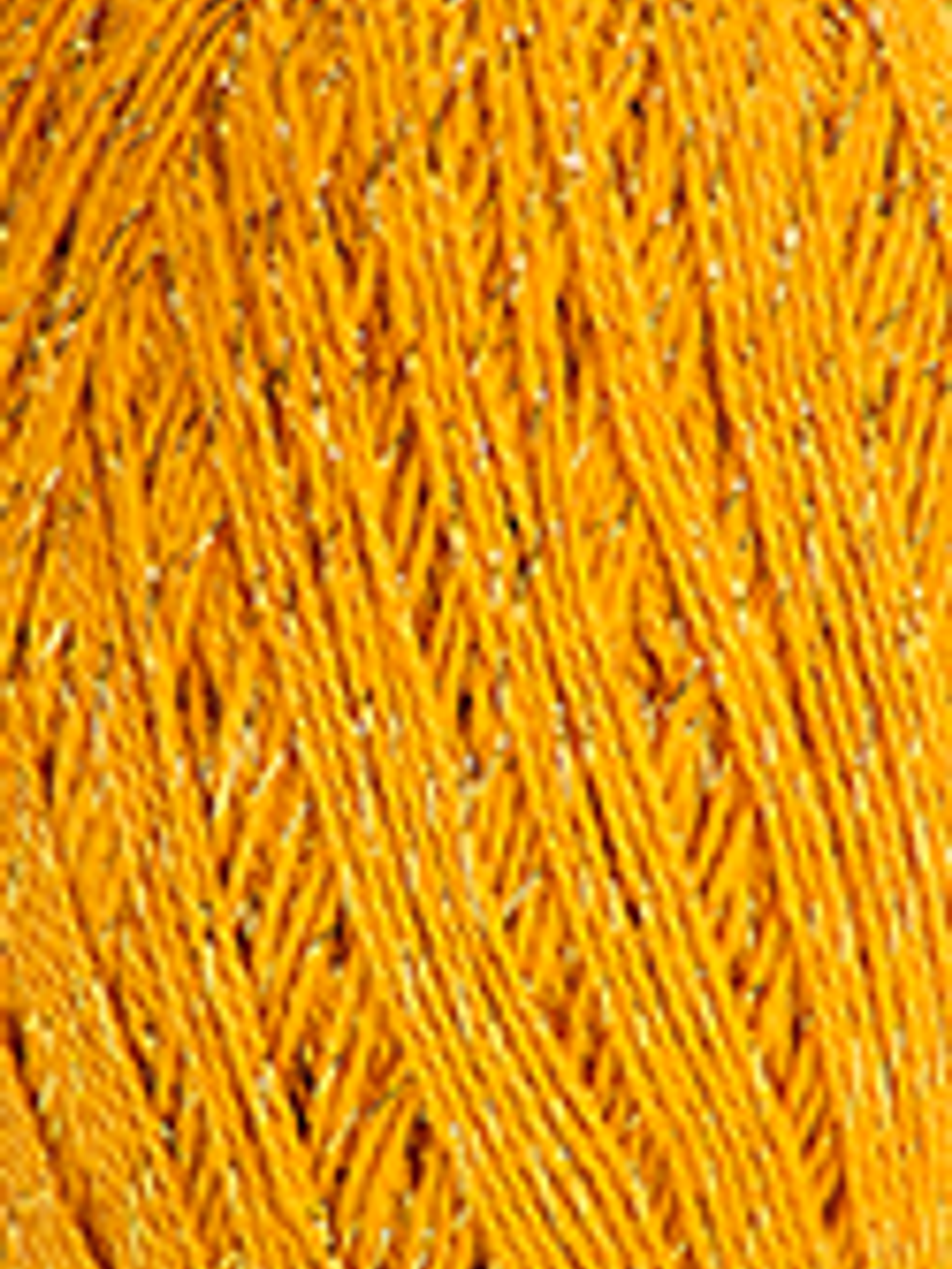 Anne Brilho 7030 - Mostarda 1