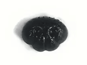 Narizes 13mm (embalagem) 