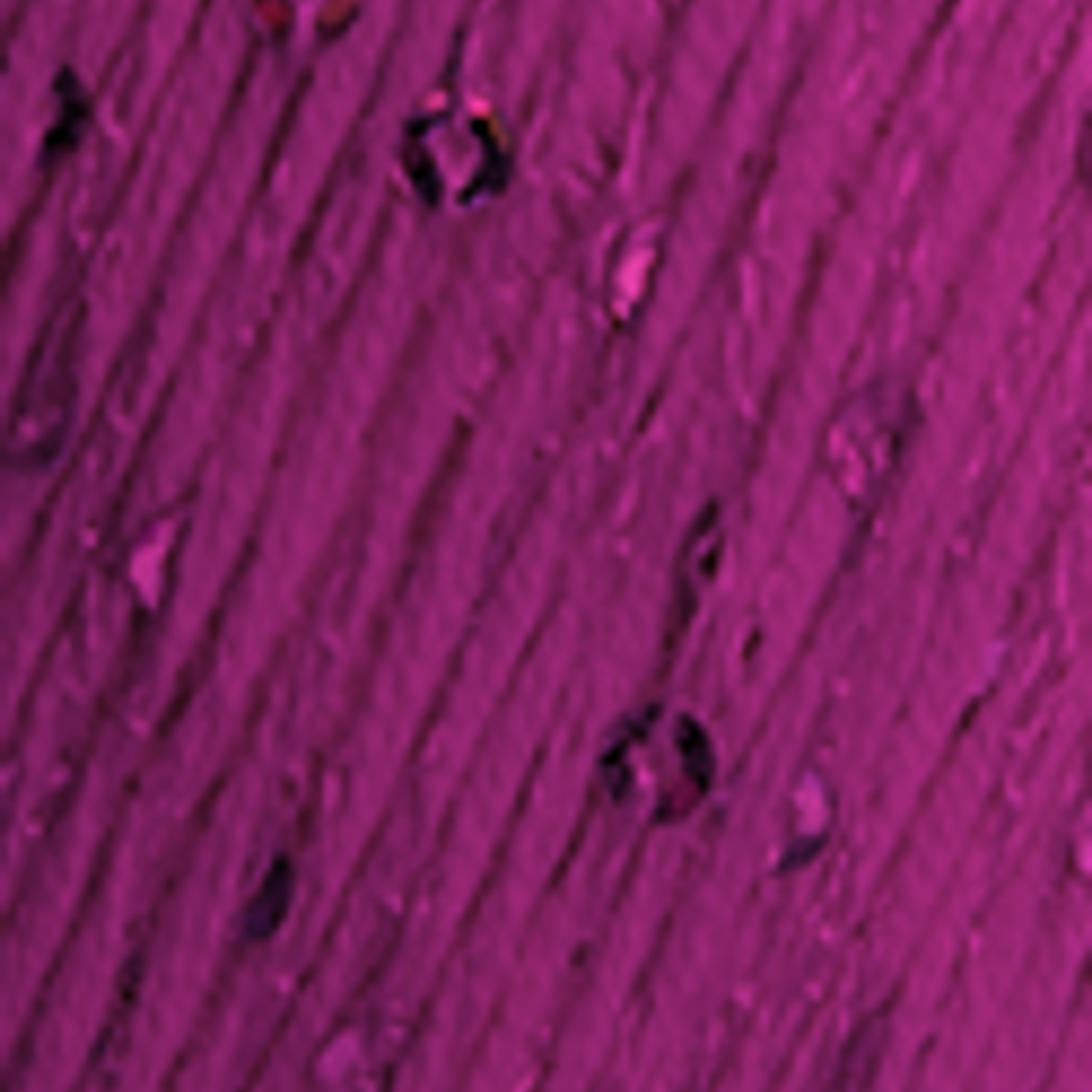 Lolita 6345 Amoreira - pré- venda, envio previsto a partir de 1/04  1