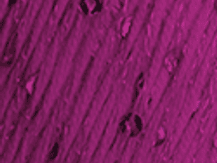 Lolita 6345 Amoreira - pré- venda, envio previsto a partir de 1/04 