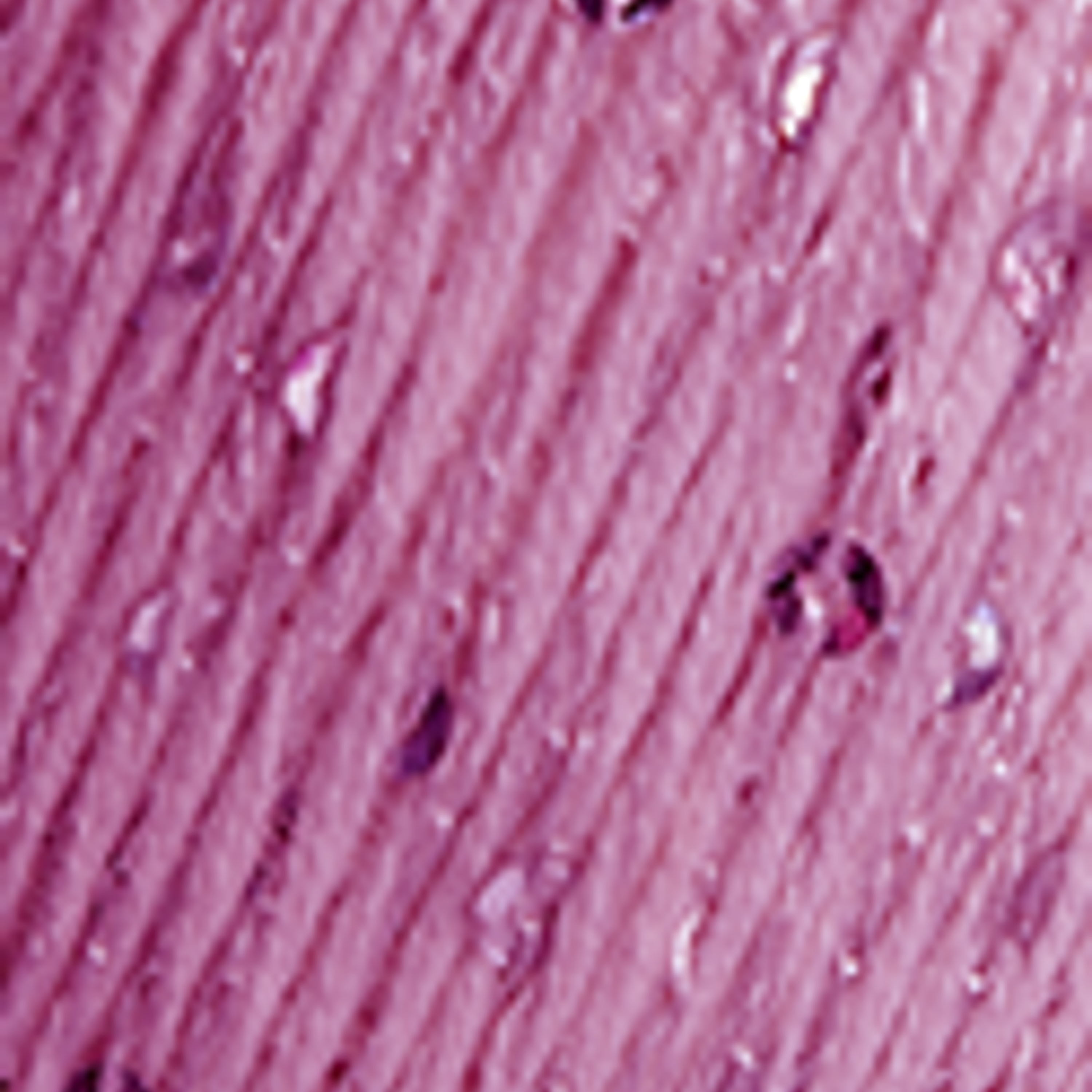 Lolita 6161 Violeta - pré- venda, envio previsto a partir de 1/04 1