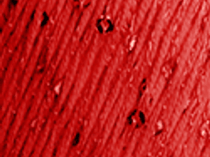 Lolita 3583 Cereja - pré- venda, envio previsto a partir de 1/04