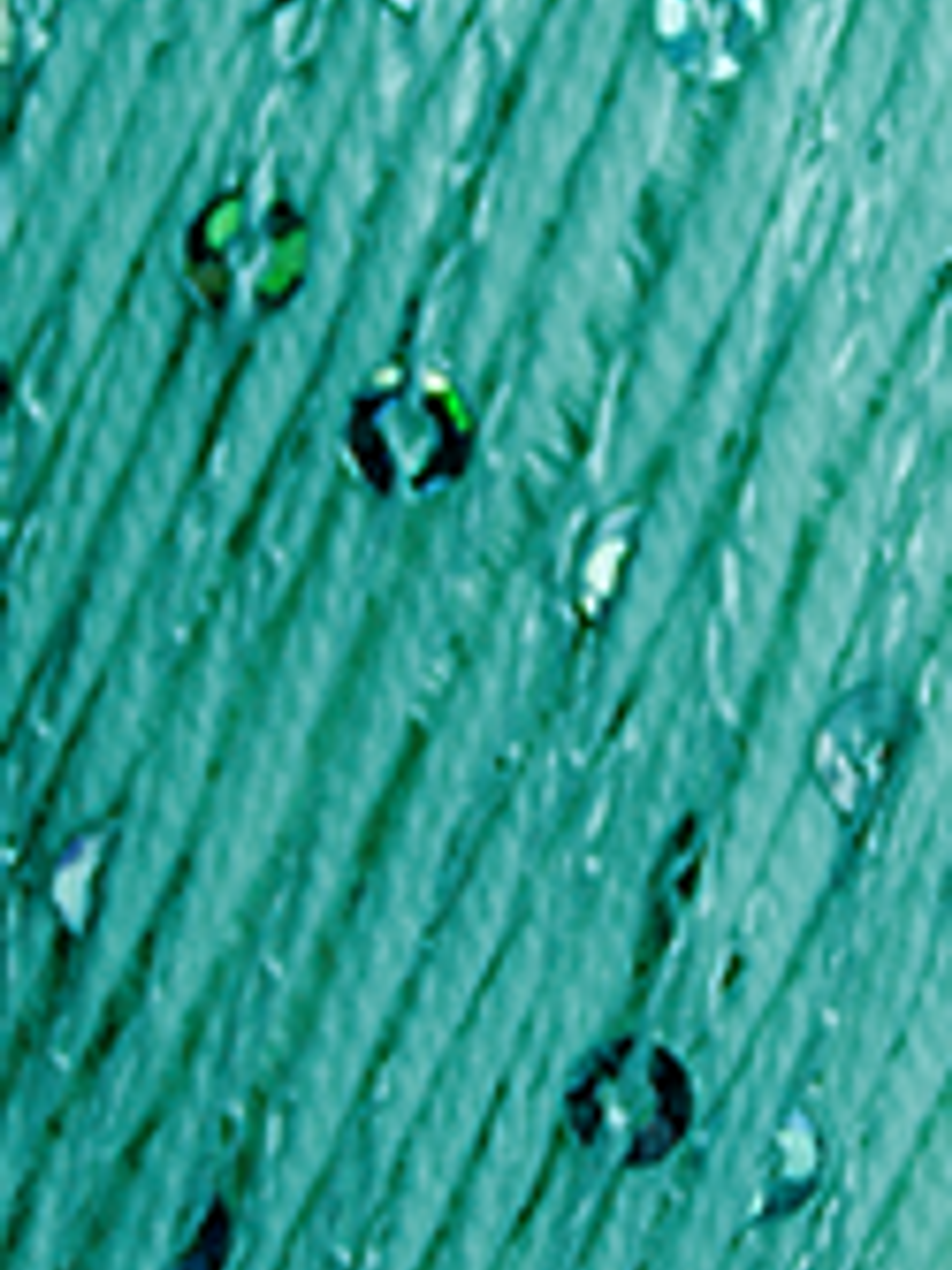 Lolita 5877 Menta - pré- venda, envio previsto a partir de 1/04 1