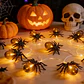Guirnalda Halloween 10 Arañas LED – 1,5 m a Pilas - Miniatura 2