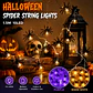 Guirnalda Halloween 10 Arañas LED – 1,5 m a Pilas - Miniatura 6