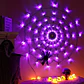 Telaraña LED Halloween con Araña – 70 Luces - Miniatura 3