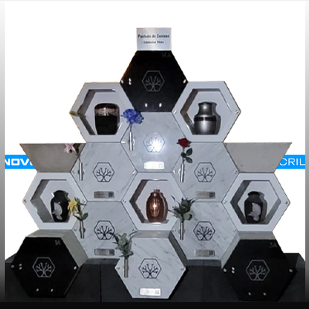 PLACA HEXAGONAL  1