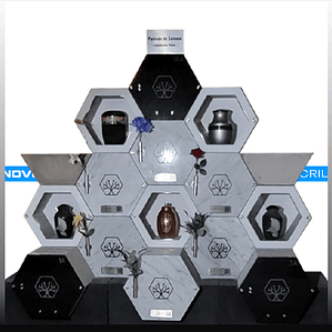 PLACA HEXAGONAL 