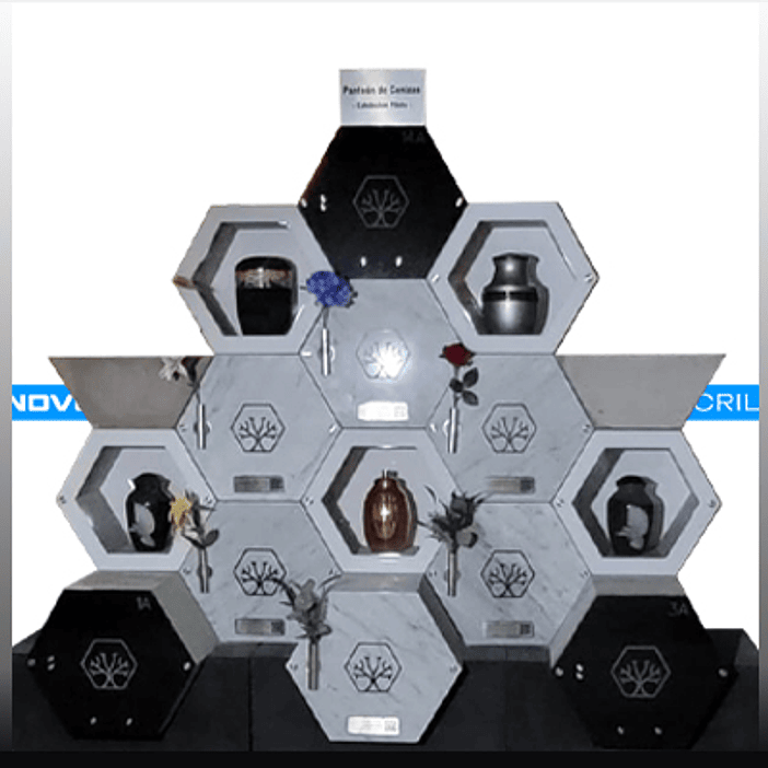 PLACA HEXAGONAL  1