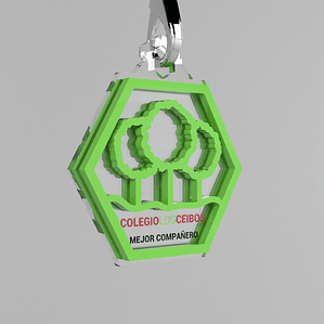 MEDALLA COLEGIO LOS CEIBOS