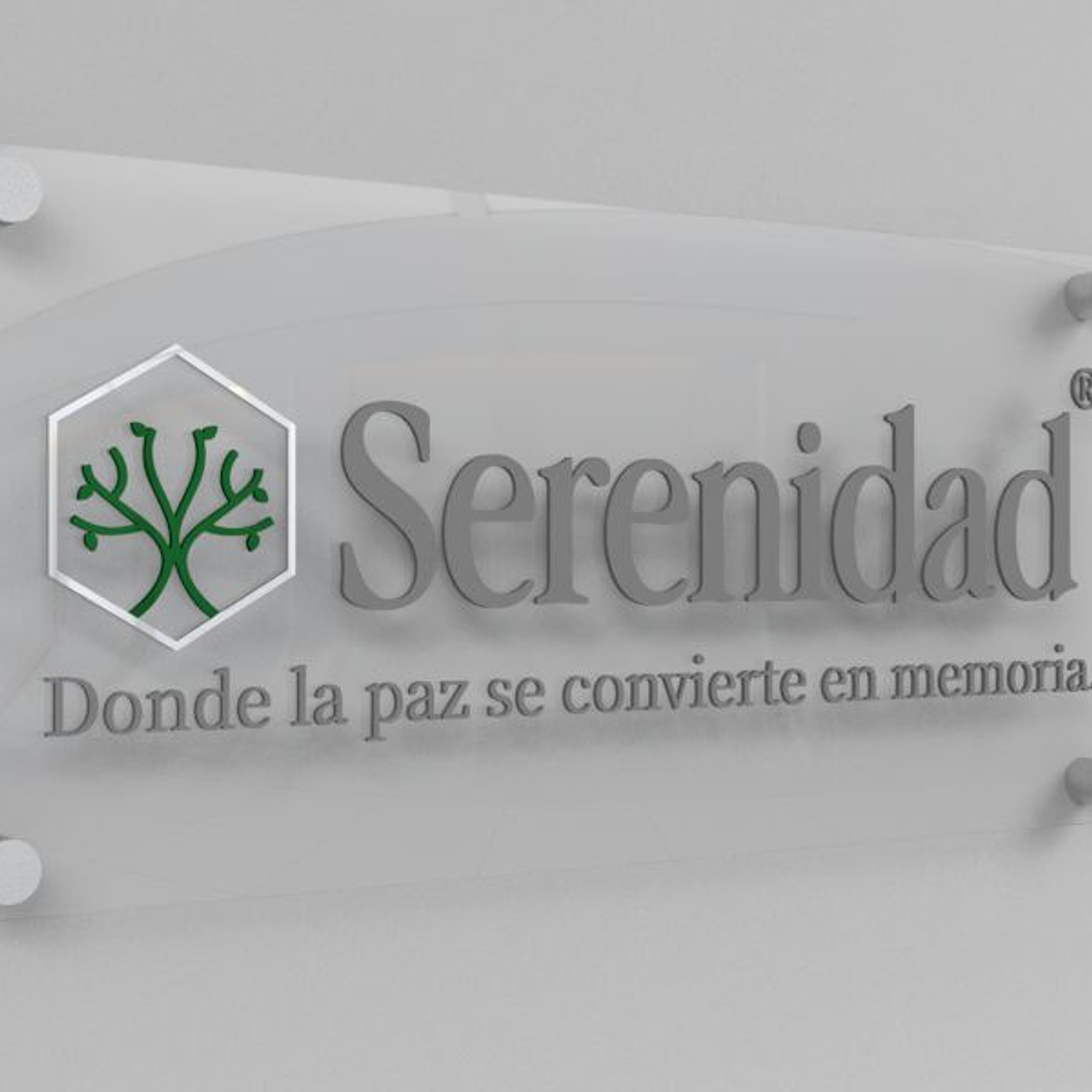CARTEL SERENIDAD  1