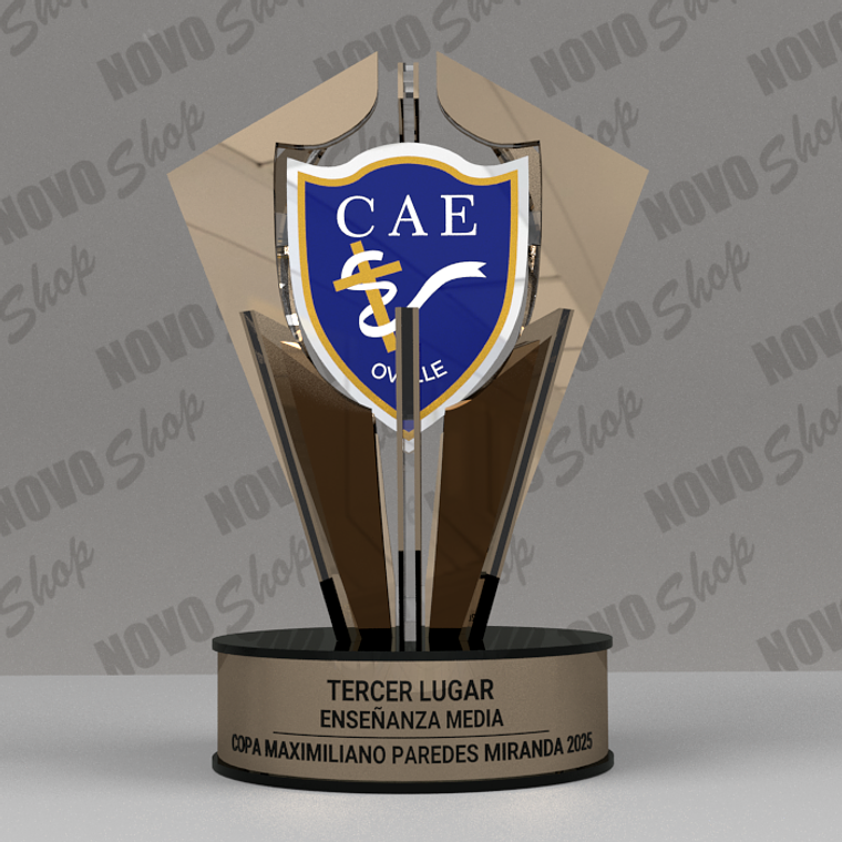 COPA CAE 3ER LUGAR  1