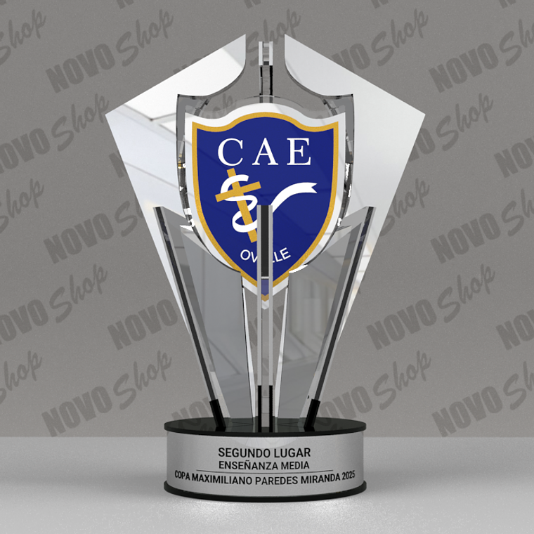 COPA CAE 2DO LUGAR  1