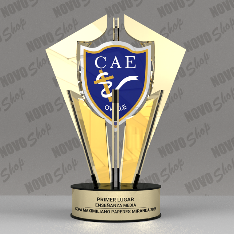 COPA CAE 1ER LUGAR 1