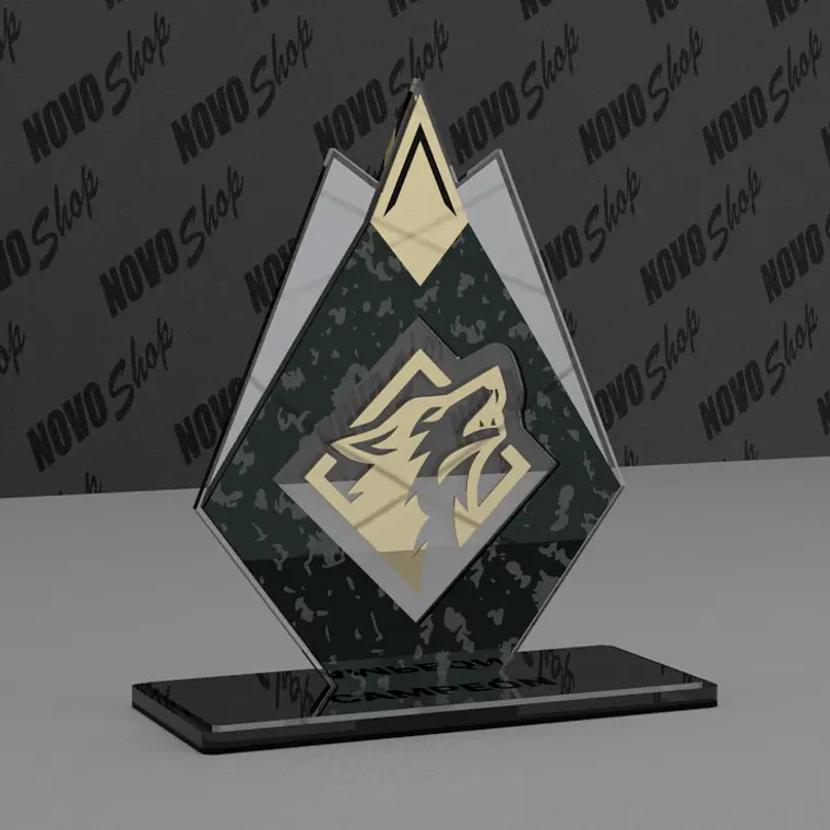 TROFEO TOKY MAYO 2026 1