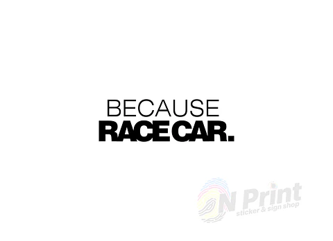 Because Race Car