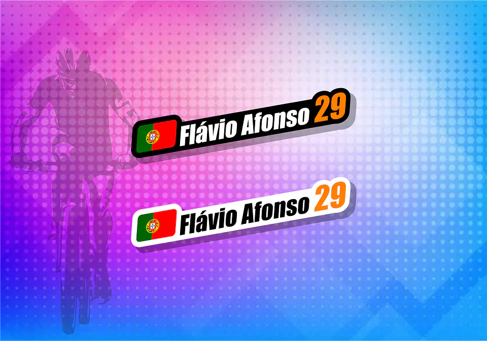 Autocolantes Bandeira + Nome + Numero. 1