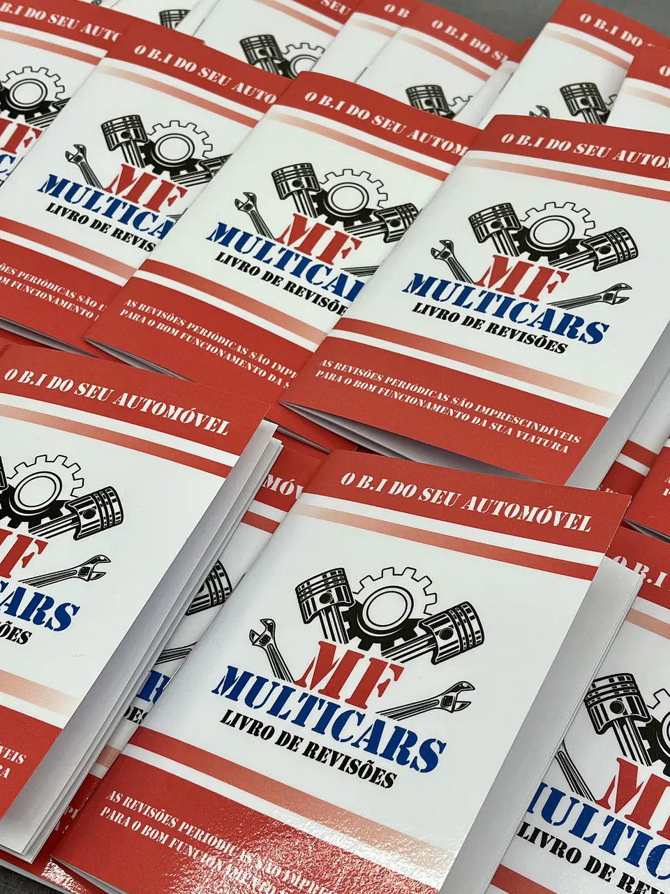 Livros de revisões  20
