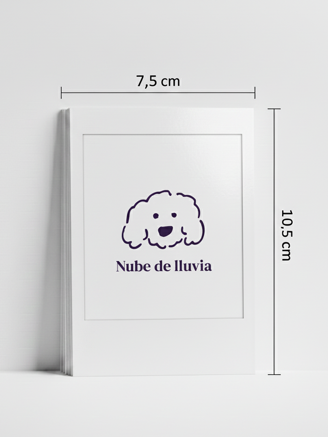 Foto tipo Polaroid 1