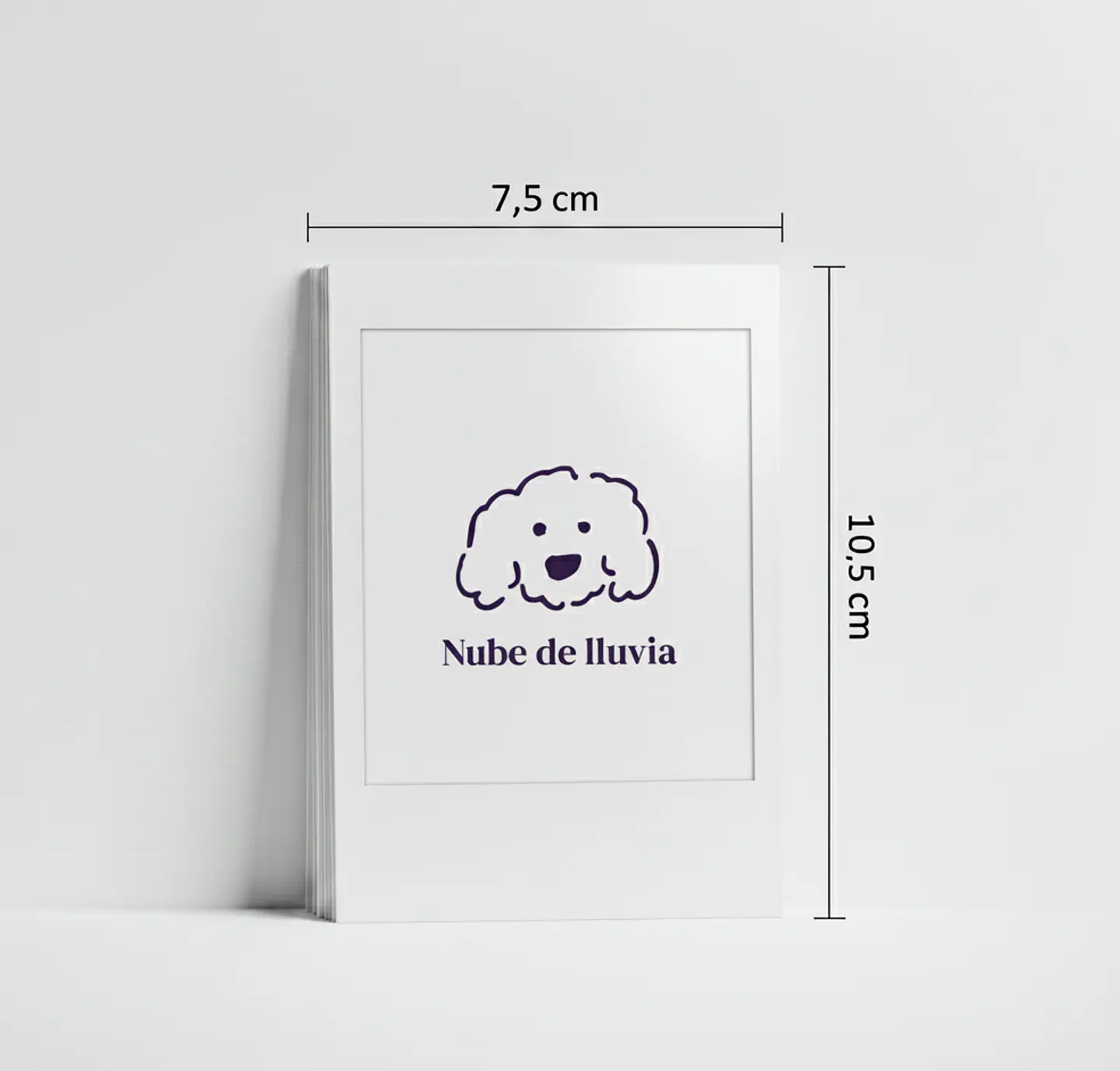 Foto tipo Polaroid 1