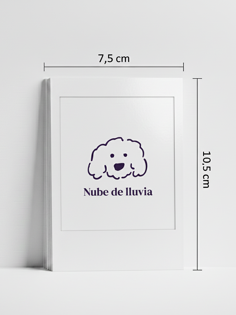 Foto tipo Polaroid 1