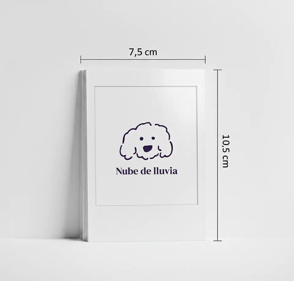 Foto tipo Polaroid 1