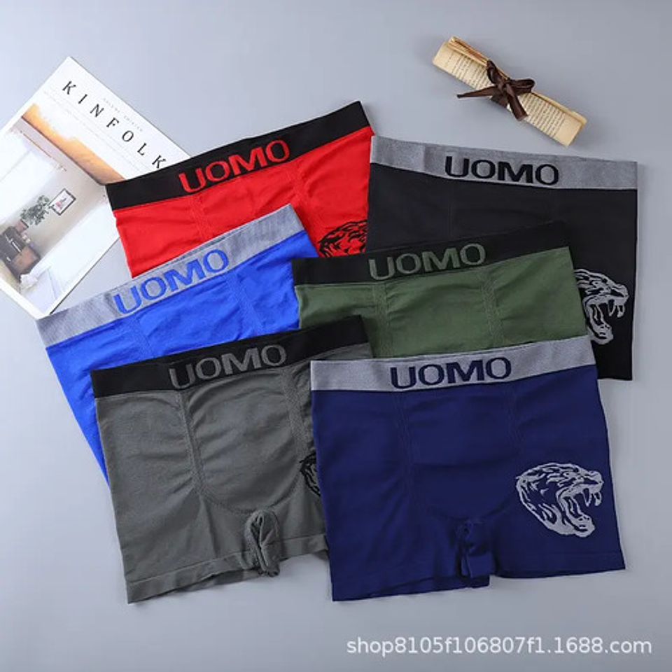 Pack 6 Bóxer Hombre Algodón Solo Color M L Xl Xxl 4